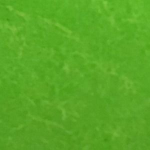 Meet your Posher, Poppy